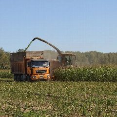 Канал Отдел аграрной политики и социального обустройства села Куйбышевского муниципального района Калужской области в мессенджере MAX — 21 подписчик