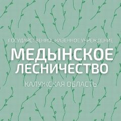 Канал ГКУ КО "Медынское лесничество" в мессенджере MAX — 120 подписчиков
