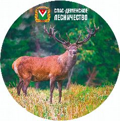 Канал ГКУ КО "Спас-Деменское лесничество" в мессенджере MAX — 38 подписчиков