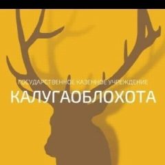 Канал Калугаоблохота канал в мессенджере MAX — 86 подписчиков