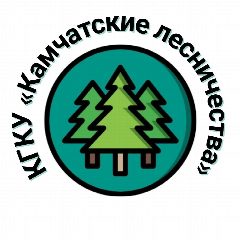 Канал КГКУ "Камчатские лесничества" в мессенджере MAX — 34 подписчика