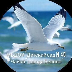 Канал 🫧 Детский сад N 45 "Чайка" 🫧 в мессенджере MAX — 36 подписчиков