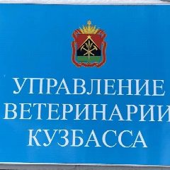 Канал Управление ветеринарии Кузбасса в мессенджере MAX — 122 подписчика