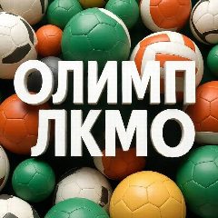 Канал МБУ  ДО "Центр физического  воспитания "Олимп" в мессенджере MAX — 219 подписчиков