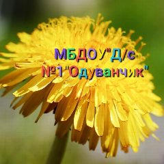 Канал МБДОУ "Одуванчик", Мариинск в мессенджере MAX — 15 подписчиков