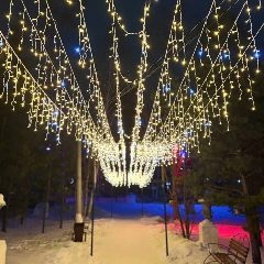 Канал МБУК "Городской парк имени А.В.Суворова" в мессенджере MAX — 275 подписчиков