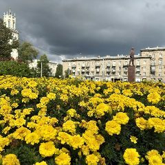 Канал Администрация Центрального района города Новокузнецка в мессенджере MAX — 693 подписчика