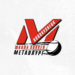 Канал МАУ ДО «СШ «Металлург» в мессенджере MAX — 110 подписчиков