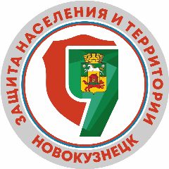 Канал ЗАЩИТА НАСЕЛЕНИЯ И ТЕРРИТОРИИ ГОРОДА НОВОКУЗНЕЦКА в мессенджере MAX — 434 подписчика