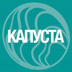 Канал Капуста - совместные покупки в Краснодаре и по всей России в мессенджере MAX — 980 подписчиков