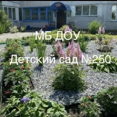 Канал МБ ДОУ "Детский сад № 250" в мессенджере MAX — 107 подписчиков