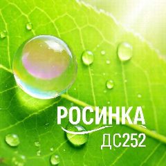 Канал МБ ДОУ "Детский сад № 252" (Росинка) в мессенджере MAX — 111 подписчиков