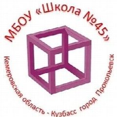 Канал МБОУ "Школа 45" г.Прокопьевск в мессенджере MAX — 1 835 подписчиков