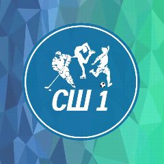 Канал МАУ ДО "Спортивная школа №1" СК "Снежинка" им Г.И. Бедарева в мессенджере MAX — 162 подписчика