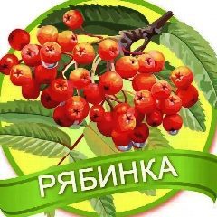 Канал МБДОУ детский сад №12 "Рябинка" г. Топки в мессенджере MAX — 34 подписчика