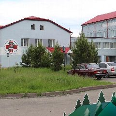 Канал ГАУЗ Яйская РБ в мессенджере MAX — 110 подписчиков