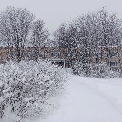 Канал КОГБУ для детей-сирот «ЦПД с. Бурмакино Кирово-Чепецкого района» в мессенджере MAX — 14 подписчиков