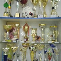Канал МКУ Вичевский спорткомплекс в мессенджере MAX — 16 подписчиков