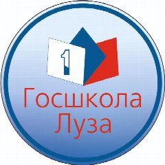 Канал Официальный канал КОГОАУ СШ г.Лузы в мессенджере MAX — 855 подписчиков