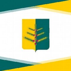 Канал АДМИНИСТРАЦИЯ НЕМСКОГО МУНИЦИПАЛЬНОГО ОКРУГА в мессенджере MAX — 107 подписчиков