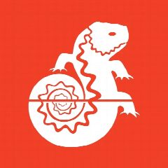 Канал Вятский палеонтологический музей 🦎 в мессенджере MAX — 25 подписчиков
