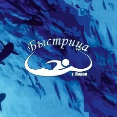 Канал КОГАУ ДО «СШОР «Быстрица» в мессенджере MAX — 254 подписчика