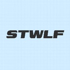 Канал STWLF бренд одежды в мессенджере MAX — 665 подписчиков