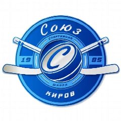 Канал Спортивная школа "Союз" в мессенджере MAX — 37 подписчиков