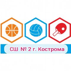 Канал Спортивная школа №  2 города Костромы в мессенджере MAX — 152 подписчика