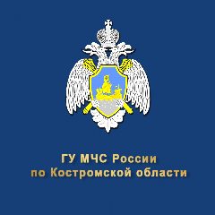 Канал МЧС Костромской области в мессенджере MAX — 1 054 подписчика
