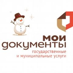 Канал МФЦ Костромской области в мессенджере MAX — 1 264 подписчика
