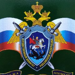 Канал Следком_Кострома в мессенджере MAX — 250 подписчиков