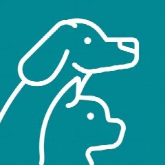 Канал Управление ветеринарии Костромской области в мессенджере MAX — 77 подписчиков