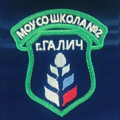 Канал Школа №2 Галич в мессенджере MAX — 343 подписчика
