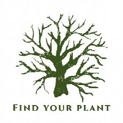 Канал Find Your Plant в мессенджере MAX — 16 подписчиков