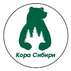 Канал КОРА СИБИРИ в мессенджере MAX — 271 подписчик