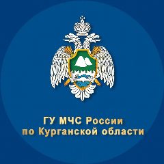 Канал МЧС Курганской области в мессенджере MAX — 1 842 подписчика