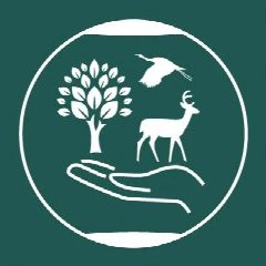 Канал Департамент гражданской защиты, охраны окружающей среды и природных ресурсов Курганской области в мессенджере MAX — 233 подписчика