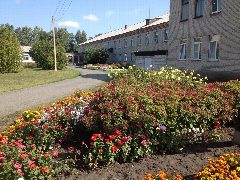Канал ГБУ Далматовский ДИ в мессенджере MAX — 134 подписчика