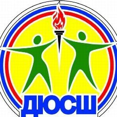 Канал МБУ ДО "Верхнелюбажская ДЮСШ" в мессенджере MAX — 13 подписчиков
