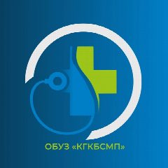 Канал БСМП | Курск (ОБУЗ "КГКБСМП") в мессенджере MAX — 743 подписчика