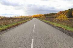 Канал ОКУ «Курскавтодор» в мессенджере MAX — 65 подписчиков