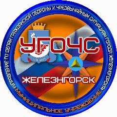 Канал МУ "УГОЧС" г. Железногорска Курской области в мессенджере MAX — 62 подписчика
