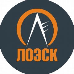 Канал ЛОЭСК в мессенджере MAX — 442 подписчика
