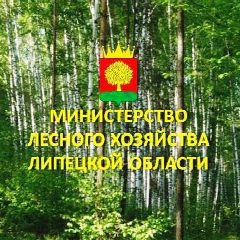 Канал Министерство лесного хозяйства Липецкой области в мессенджере MAX — 158 подписчиков