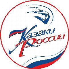 Канал Государственный театр танца «Казаки России». в мессенджере MAX — 671 подписчик