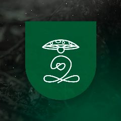 Канал AMANITA-LOVE купить грибы с доставкой в мессенджере MAX — 91 подписчик