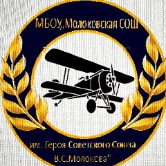 Канал Школа им.Героя Советского Союза В.С.Молокова Ленинский городской округ в мессенджере MAX — 961 подписчик