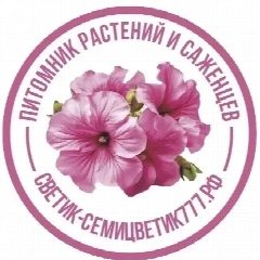 Канал Петуния Воскресенск в мессенджере MAX — 359 подписчиков