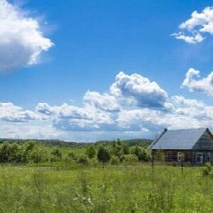 Канал СЫРЫ&КОЛБАСЫ&ДЕЛИКАТЕСЫ в мессенджере MAX — 75 подписчиков